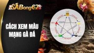 Cách Xem Màu Mạng Gà Đá