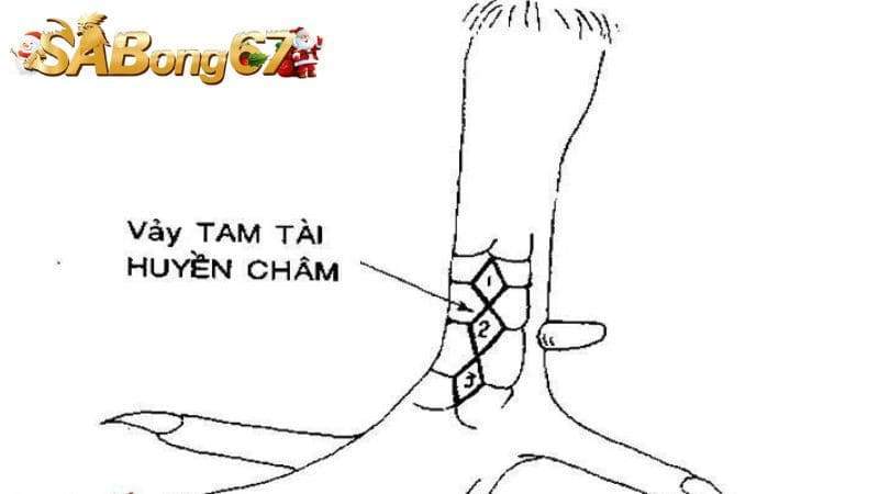 Vảy gà Huyền Châm