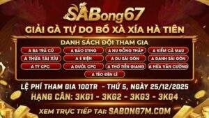 Poster chính thức Giải gà Tự Do 100 Triệu Bồ Xà Xía quy tụ dàn Idol