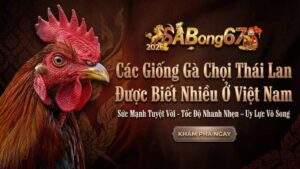 Cac Giong Ga Choi Thai Lan Duoc Biet Nhieu O Viet Nam 1 4