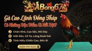 Ga Cao Lanh Dong Thap Co Nhung Dac Diem Gi Noi Bat 1 4