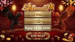 Xem Lại Video Đá Gà CPC2 Trực Tiếp Ngày 14/04/2026