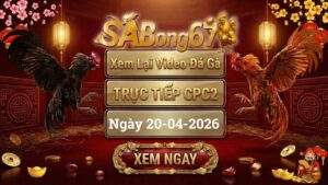 Xem Lại Video Đá Gà CPC2 Trực Tiếp Ngày 20/04/2026