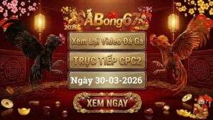 Xem Lại Video Đá Gà CPC2 Trực Tiếp Ngày 30/03/2026