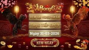 Xem Lại Video Đá Gà CPC3 Trực Tiếp Ngày 31/03/2026