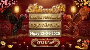 Xem Lại Video Đá Gà CPC4 Trực Tiếp Ngày 12/04/2026