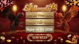Xem Lại Video Đá Gà CPC4 Trực Tiếp Ngày 14/04/2026