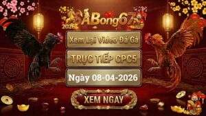 Xem Lại Video Đá Gà CPC5 Trực Tiếp Ngày 08/04/2026