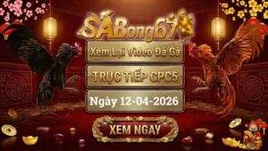 Xem Lại Video Đá Gà CPC5 Trực Tiếp Ngày 12/04/2026