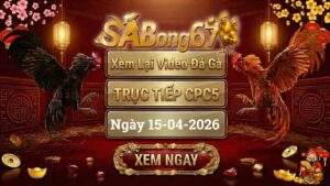 Xem Lại Video Đá Gà CPC5 Trực Tiếp Ngày 15/04/2026