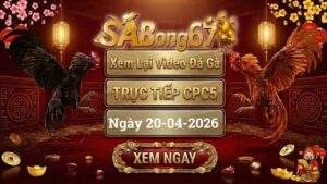 Xem Lại Video Đá Gà CPC5 Trực Tiếp Ngày 20/04/2026