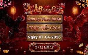 Phát Lại Đá Gà CPC4 Trực Tiếp Ngày 07/04/2026