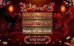 Phát Lại Đá Gà CPC5 Trực Tiếp Ngày 07/04/2026